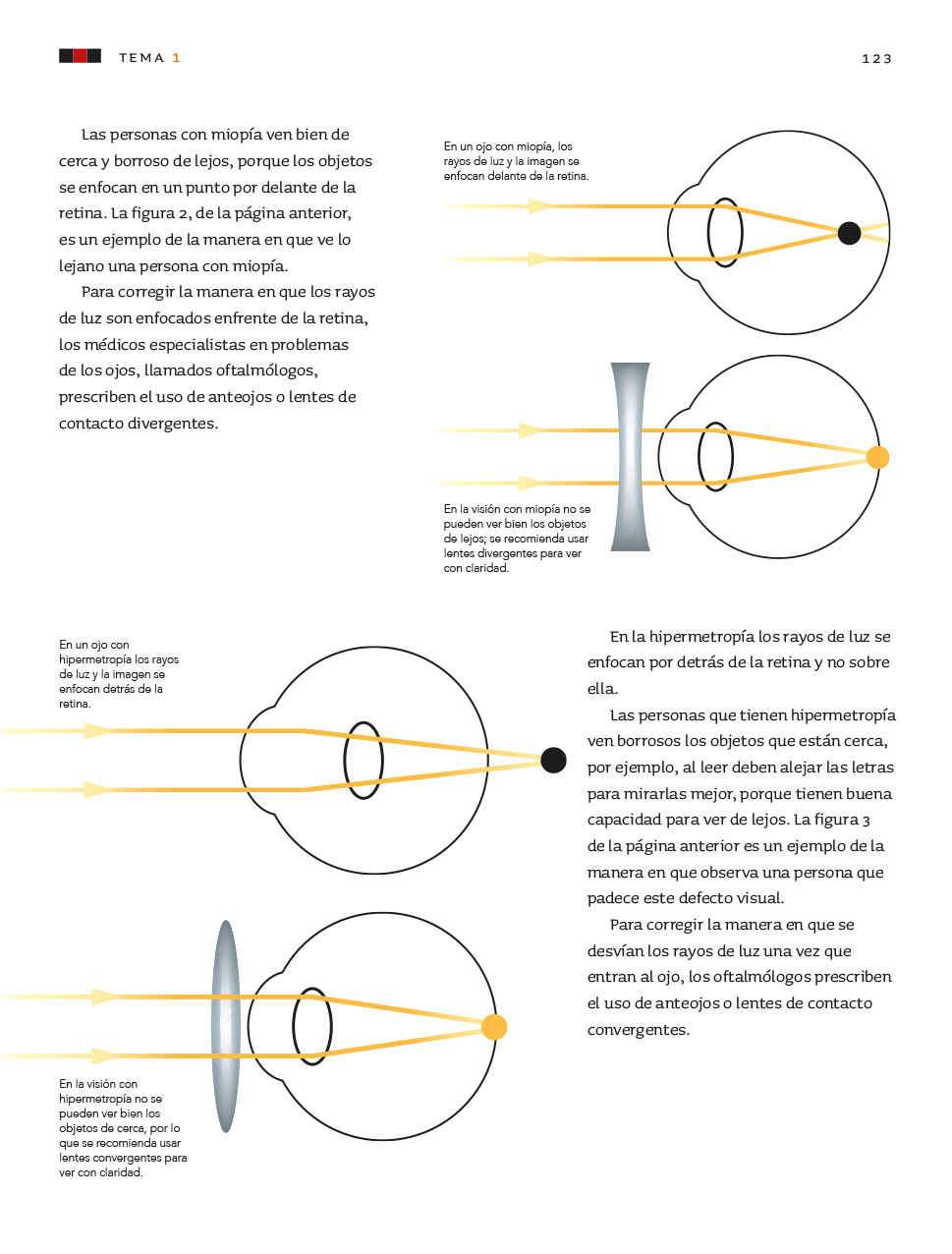 Tipos de lentes ciencias naturales clearance